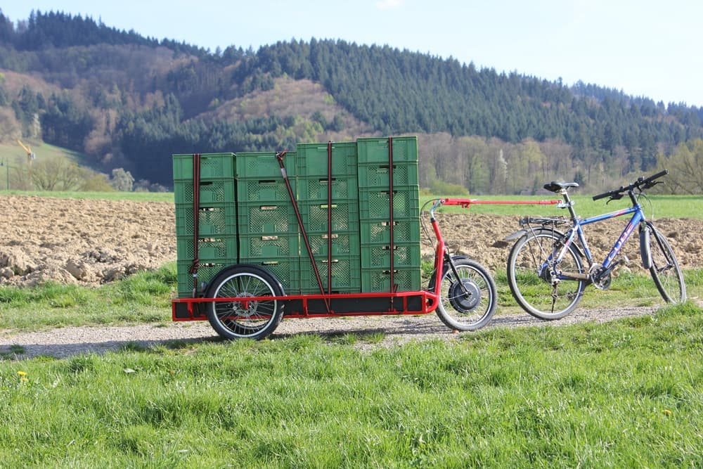 carla cargo bike (1)